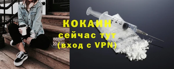 гидра Майский