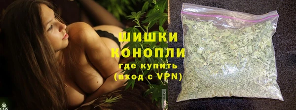 сатива Медногорск