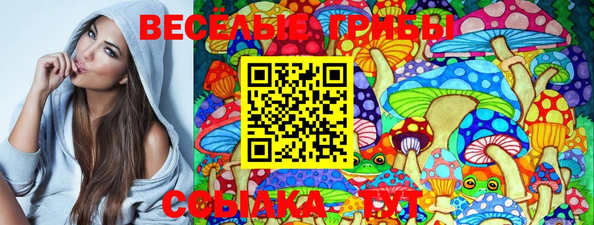 Галлюциногенные грибы мицелий  Приморско-Ахтарск  Галлюциногенные грибы Magic Shrooms 