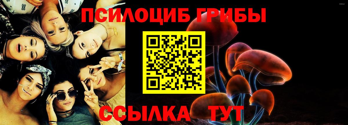 Галлюциногенные грибы GOLDEN TEACHER Приморско-Ахтарск